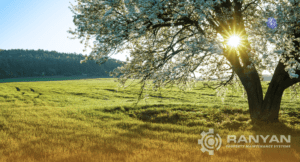 Spring Cleaning Starts Early: How to Prepare Your Janitorial Business for Seasonal Demands